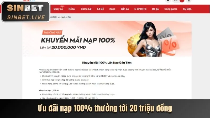 Biểu đồ phân tích hiệu suất trang web